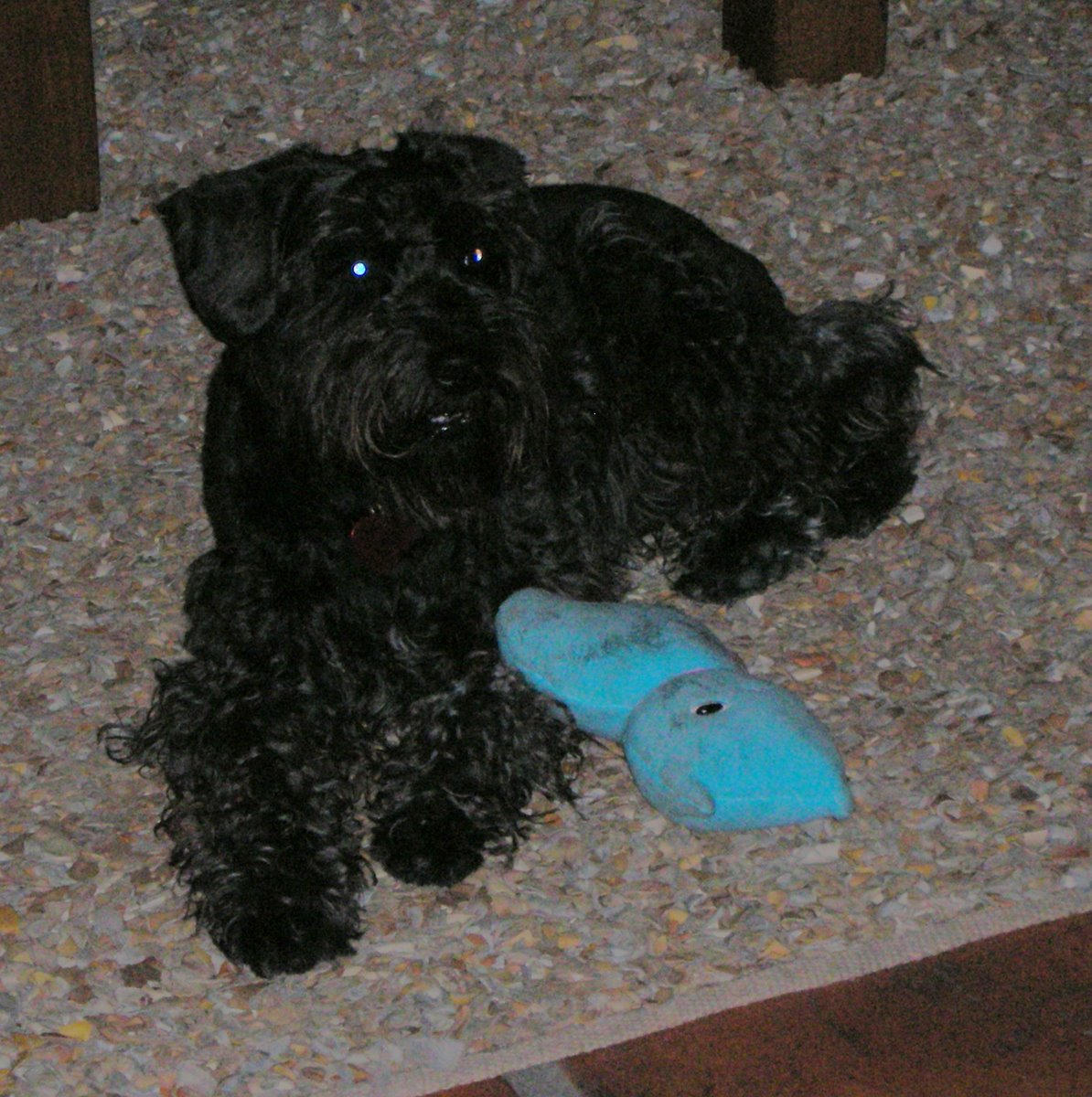 [DSCN2144.jpg]