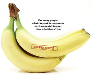 [Bananas2.jpg]