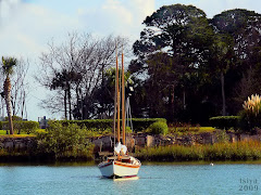 HOSPITAL CREEK, ST. AUGUSTINE