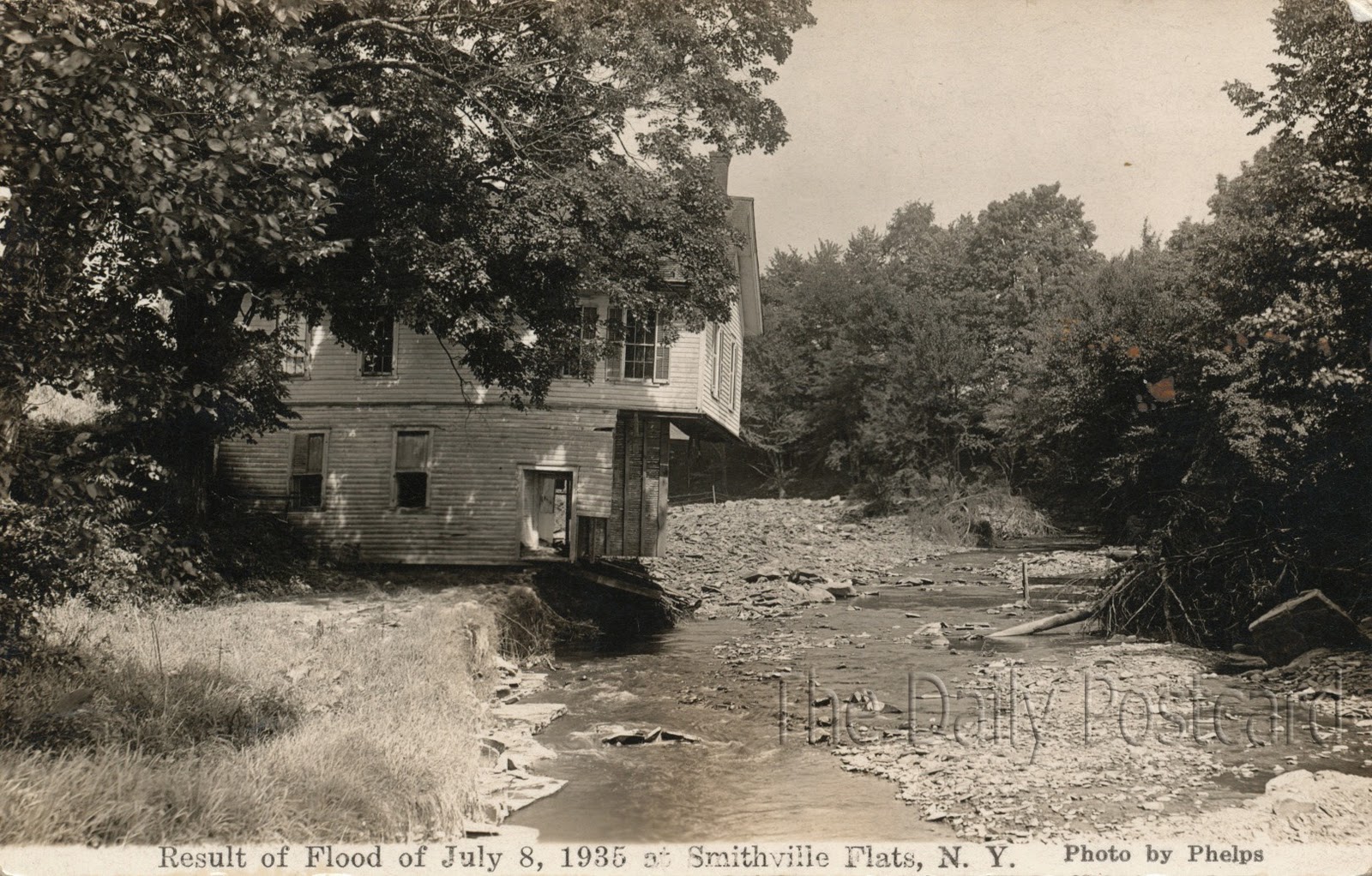 The Daily Postcard February 2011