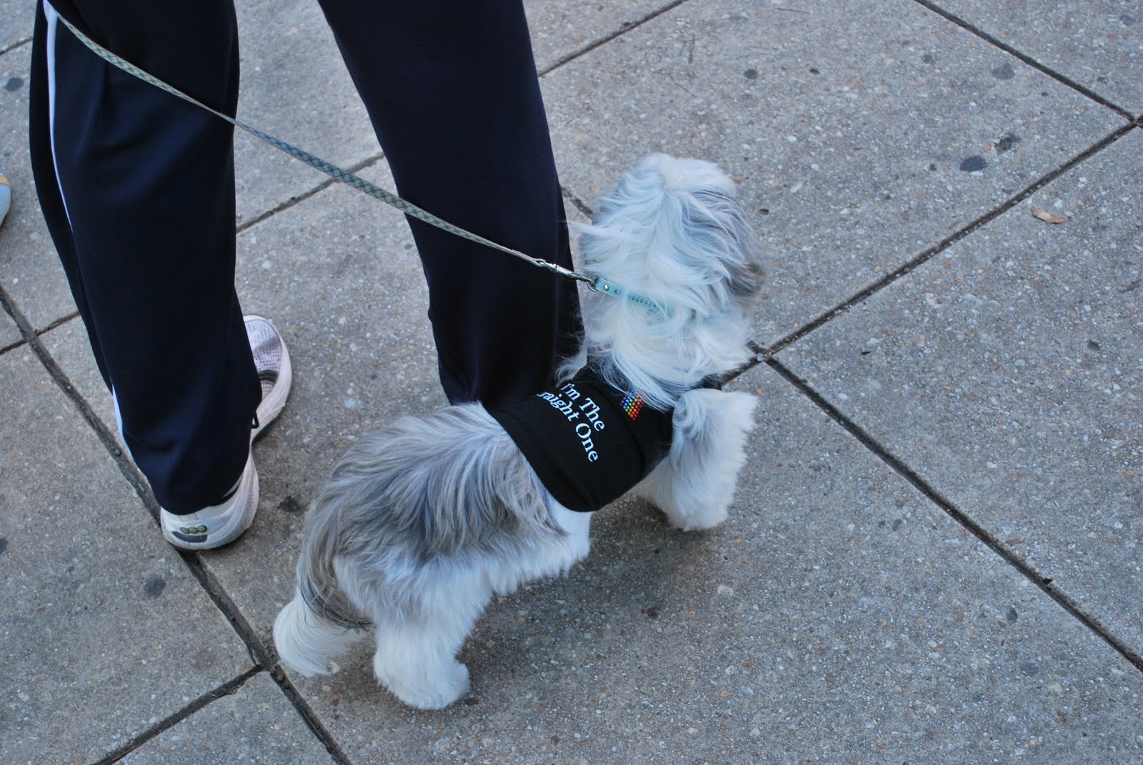 [DSC_0010.JPG]