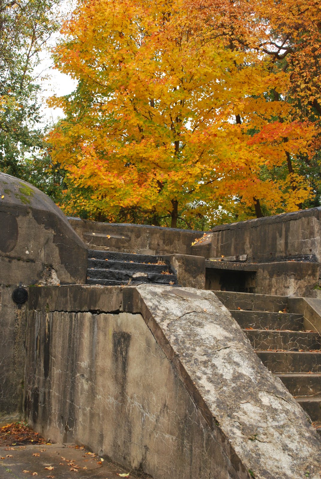 [DSC_0046.JPG]