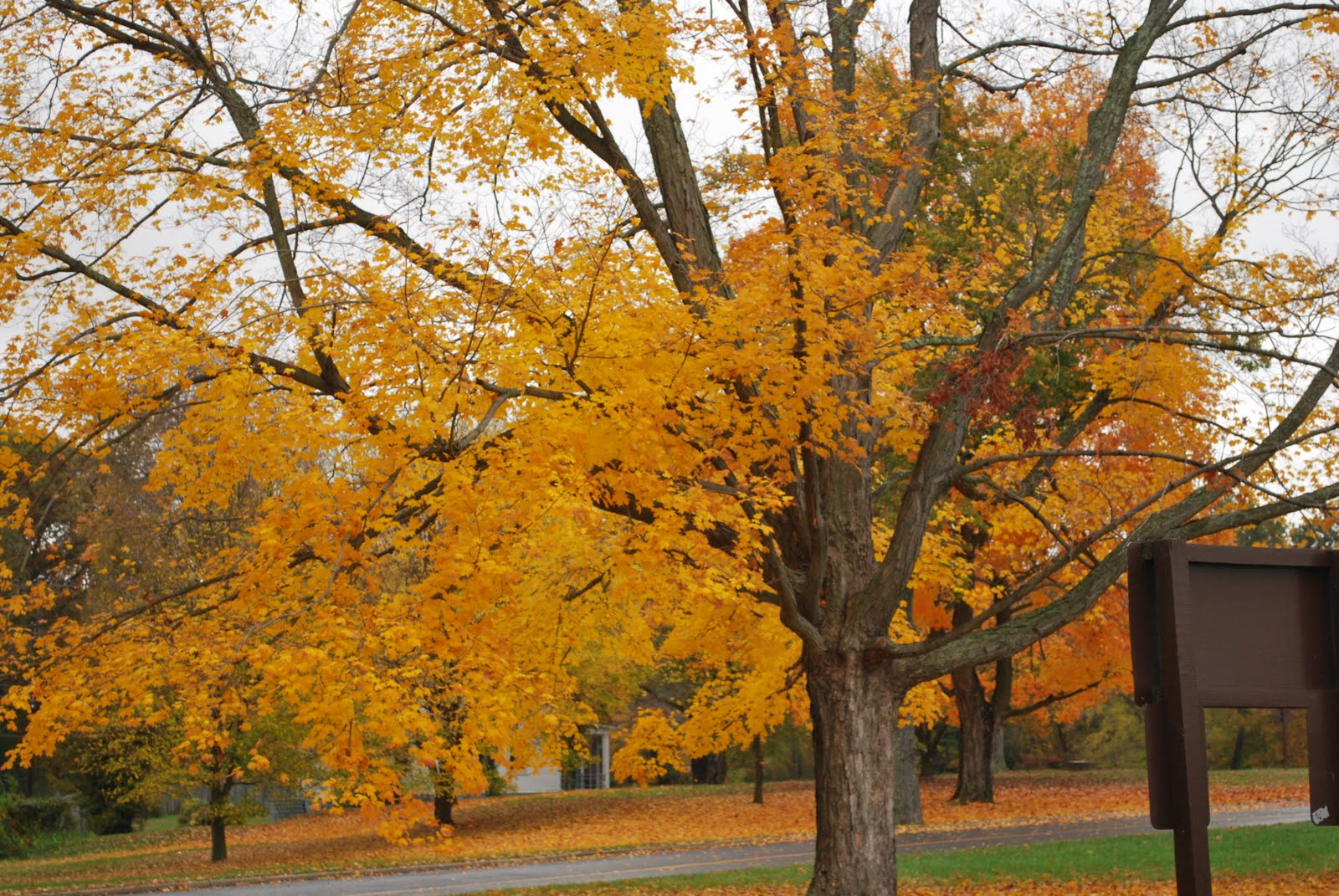 [DSC_0037.JPG]