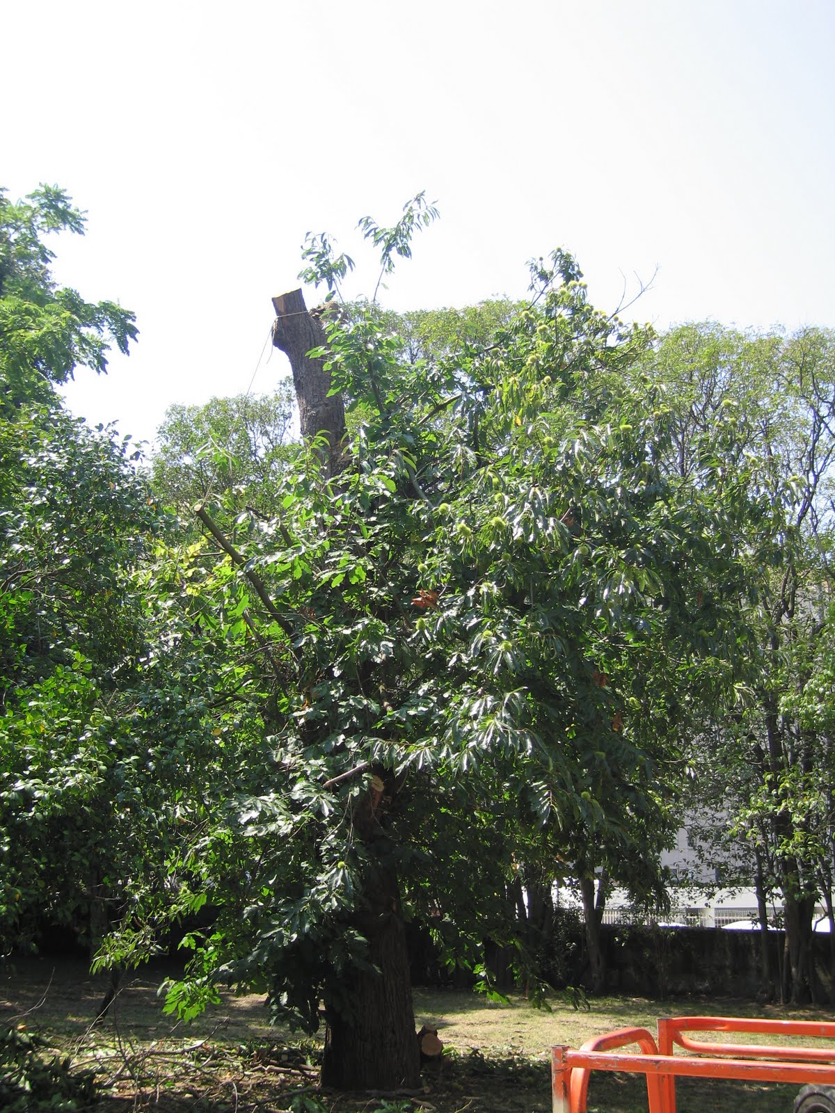 [IMG_6014.JPG]