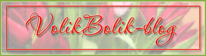 VolikBolik-blog