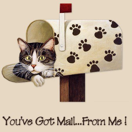 [Cat+in+Mailbox.jpg]