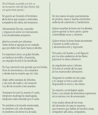 LO QUE LE CUENTO A LA LUNA Elegía...