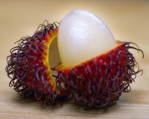 Best Forex Weird Fruits (Amazing) Best Forex Weird Fruits (Amazing)