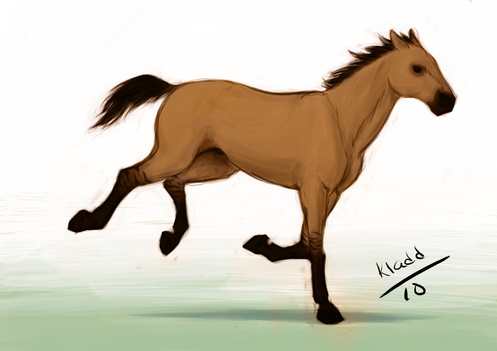 Deformed+horses