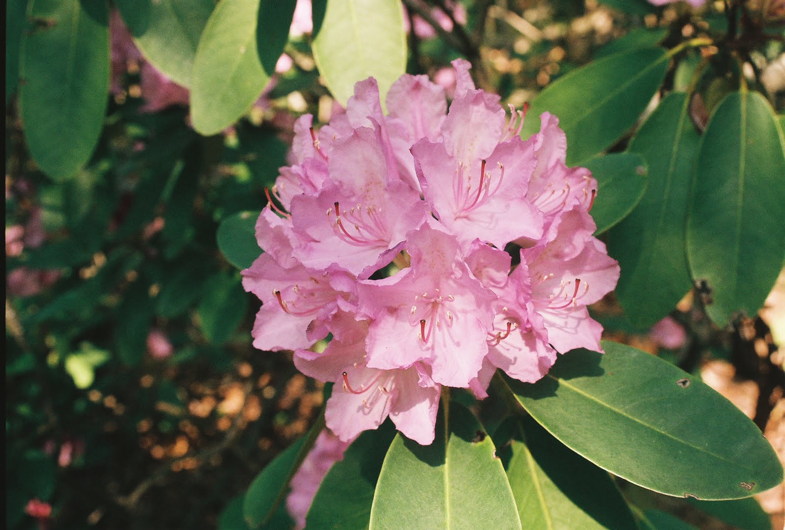 [863322-R1-011-4_004.jpg]