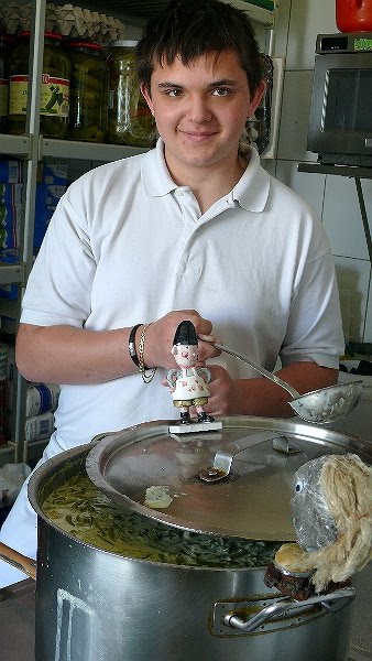 Sammelsurium Wiener Neustadt