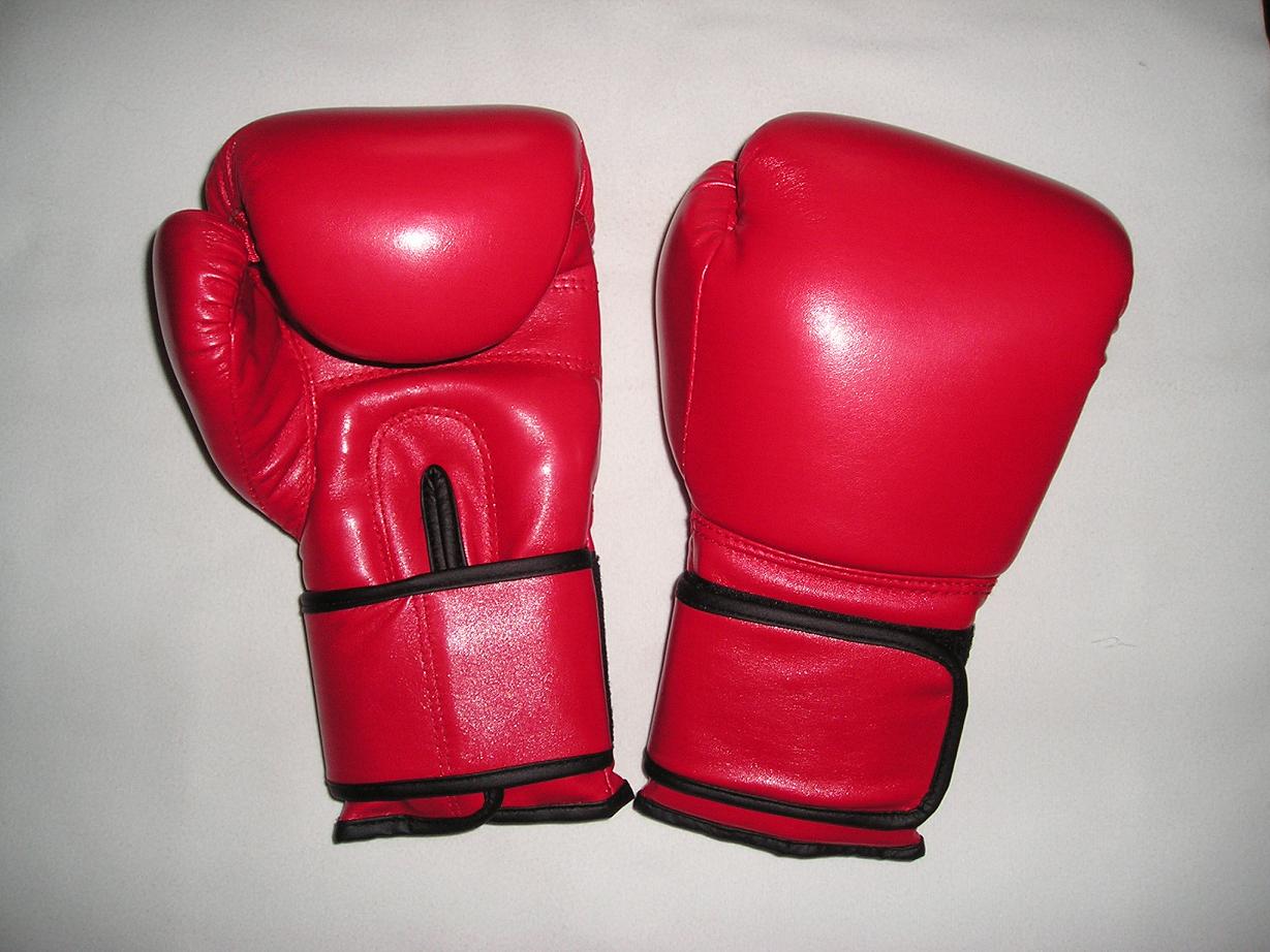 Boxing_Gloves.jpg