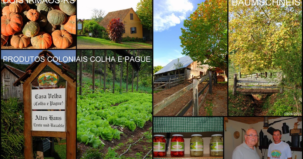 ODILO ANTONIO FRIEDRICH: COLHA E PAGUE, CASA VELHA NO TRAVESSÃO DE DOIS