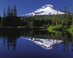 [288px-MtHood_TrilliumLake.jpg]