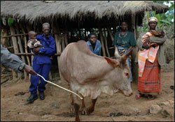 [burundi.jpg]