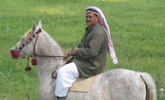 Banu Sanhadja Breeding focus on Syrian Arabians
