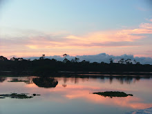 Amazônia
