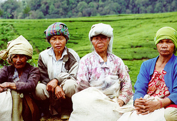 Masyarakat Pedesaan dan Masyarakat Perkotaan Celoteh