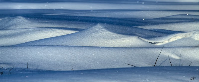 dunes hivernales