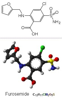 Paxlovid prescription massachusetts