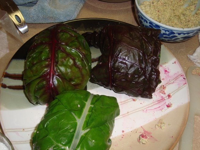 [DSC01825.JPG]