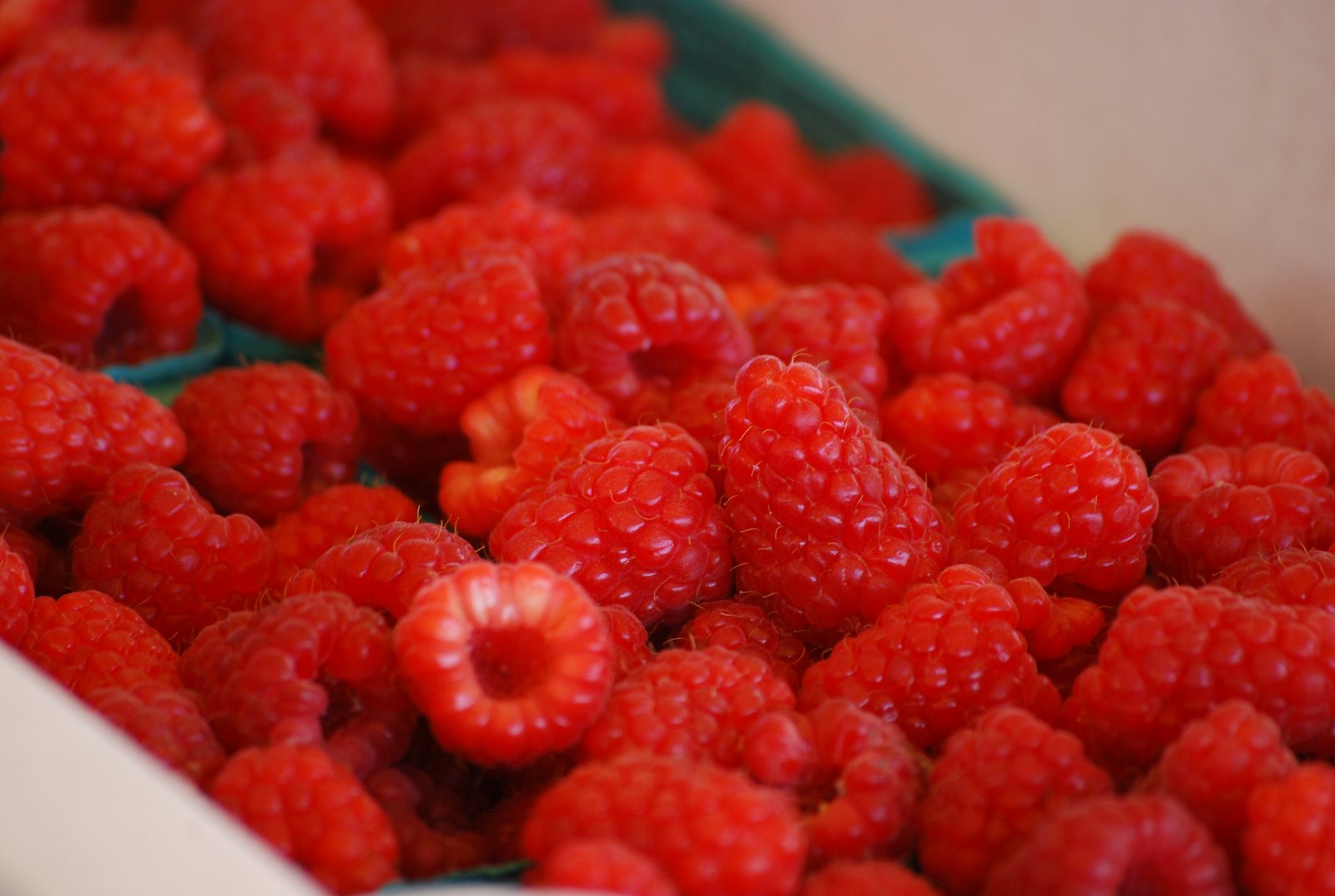 the farmer's wife July 2010