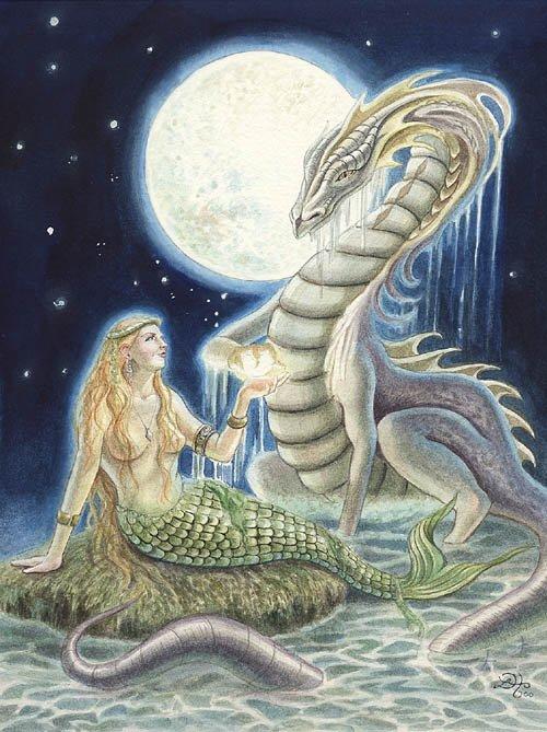 Mermaid Dragon