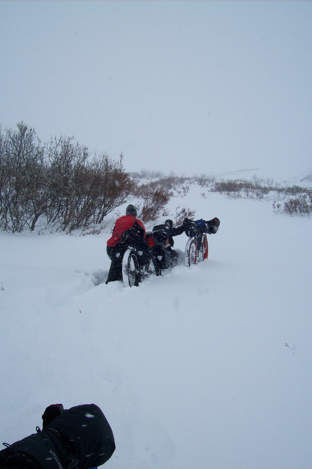 I - Iditarod Trail Invitational version VTT : pistes