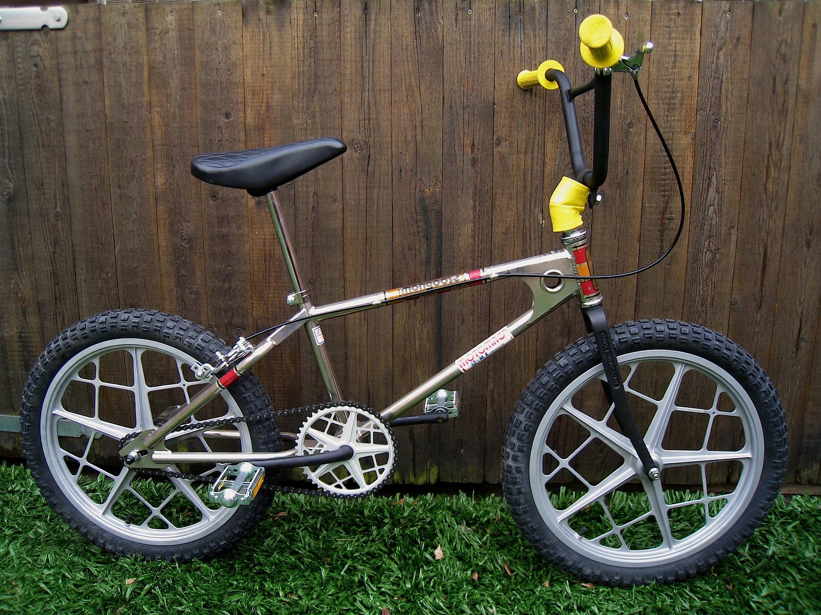 [MMMMMongoose.jpg]