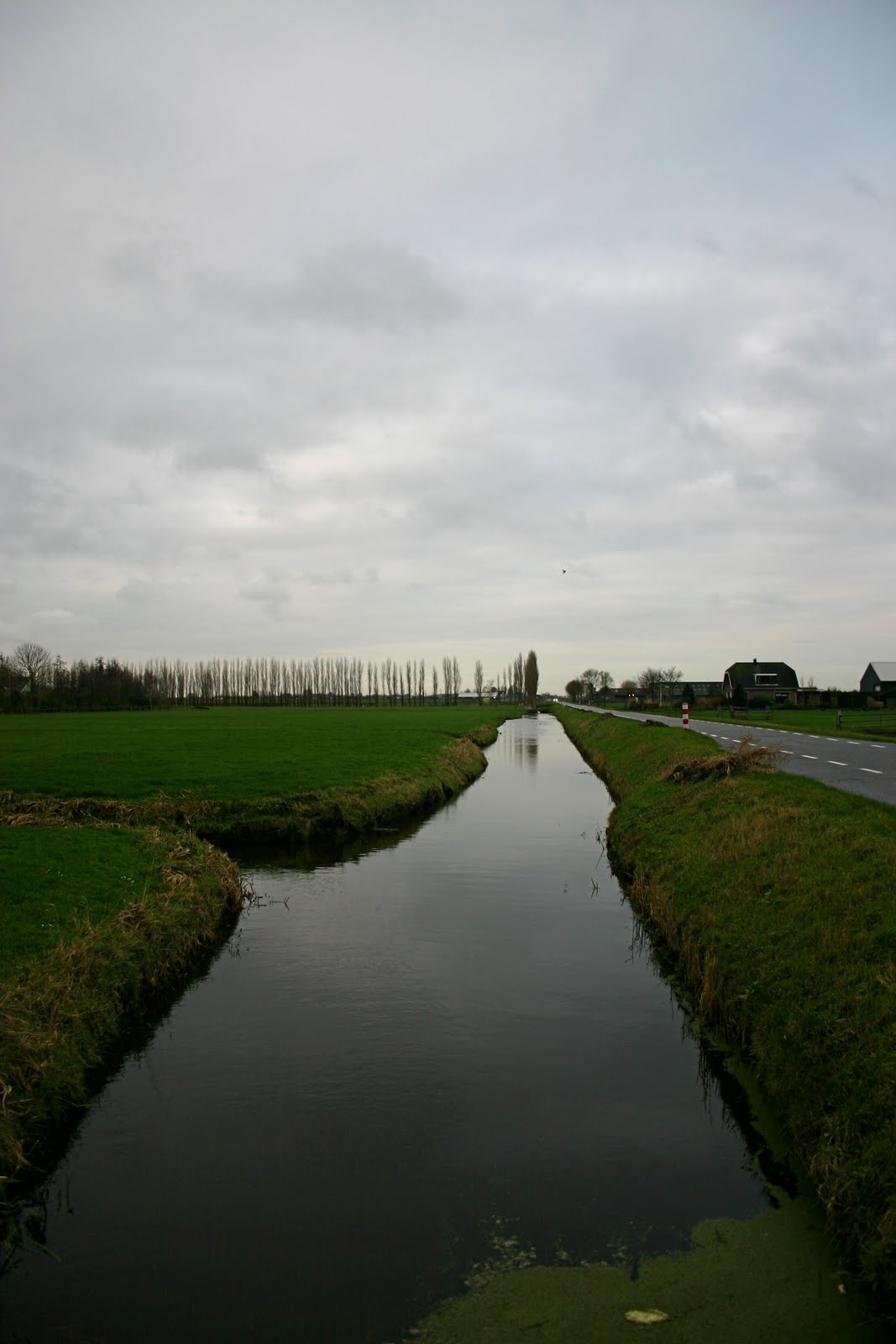 [IMG_0678.JPG]