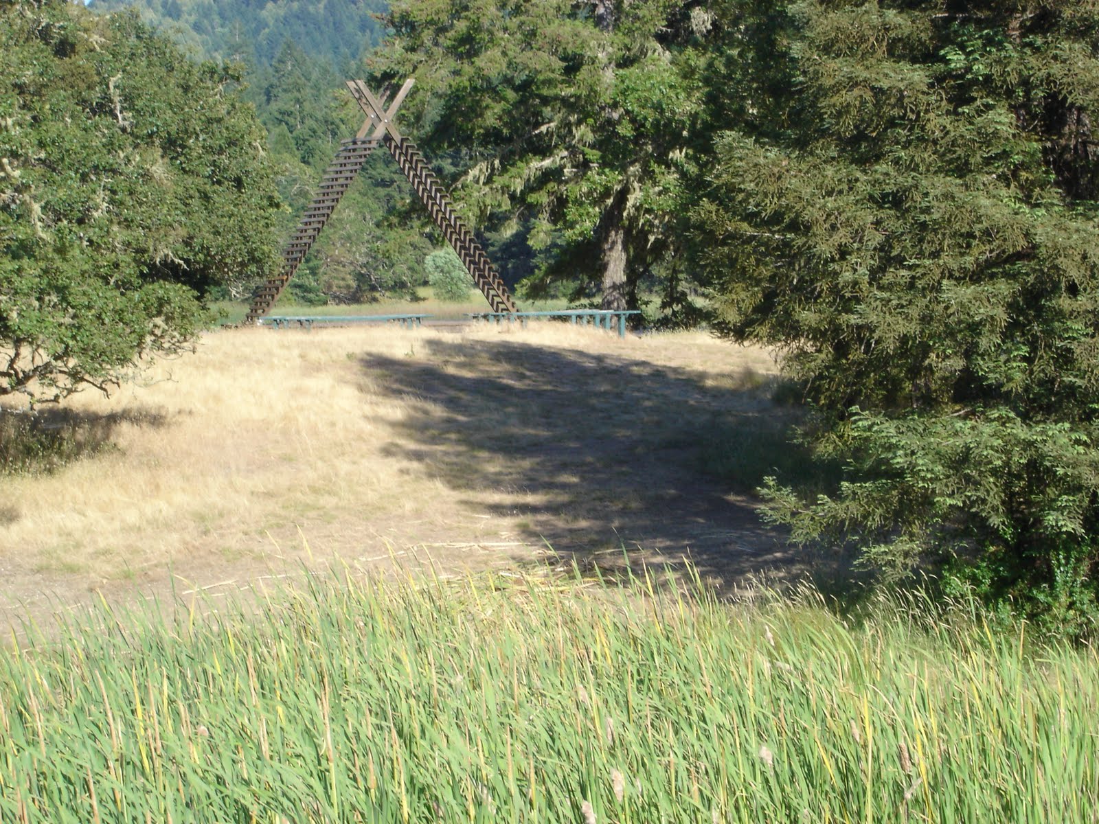 Camp Wente