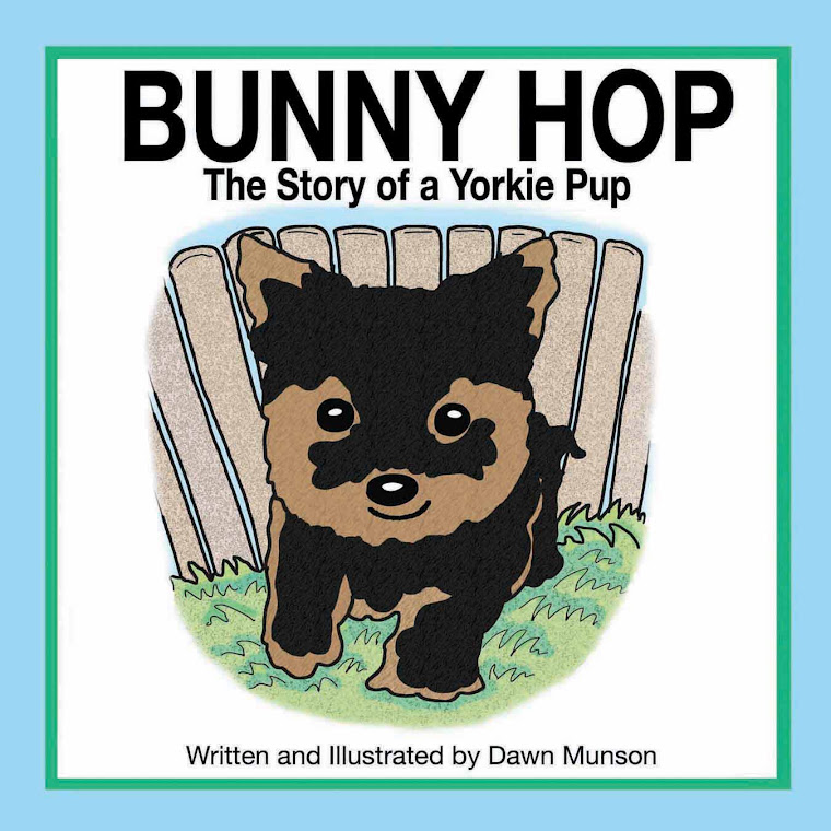 BUNNY HOP, The story of a Yorkie Pup