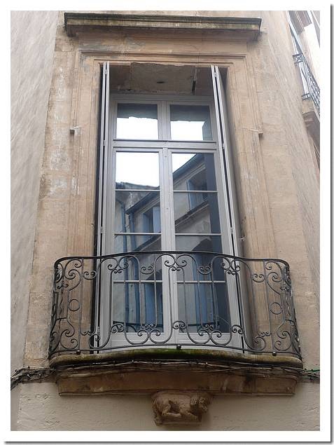 [montpellier+2009++016.JPG]