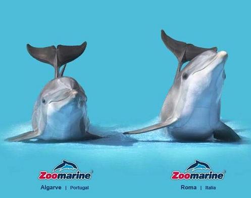 ZooMarine