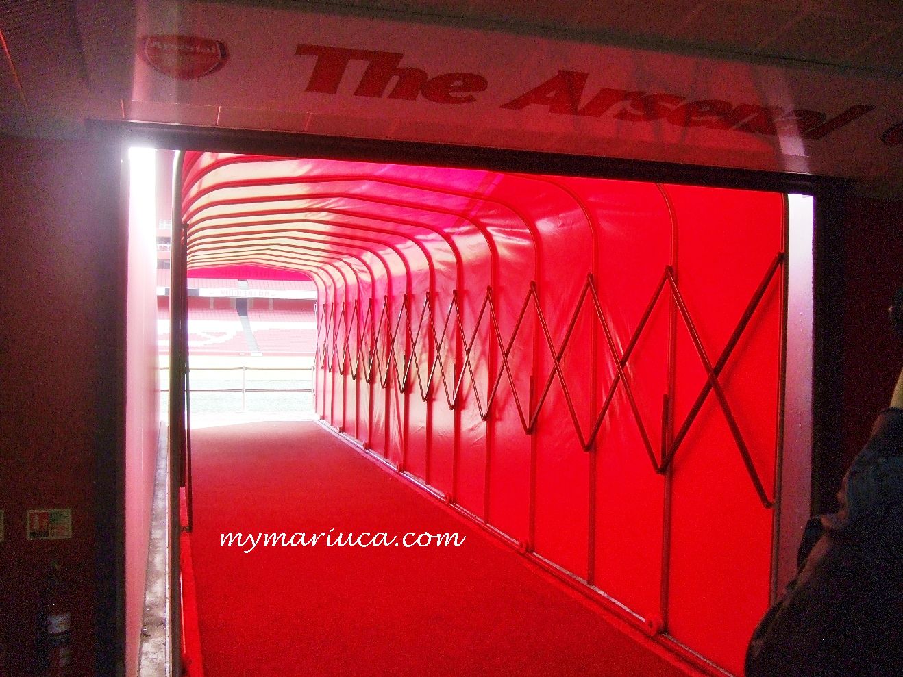 Emirates Stadium Tunnel