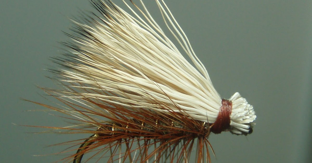 The Fly Guide The Caddis Fly