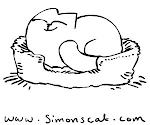 El Gato Simón