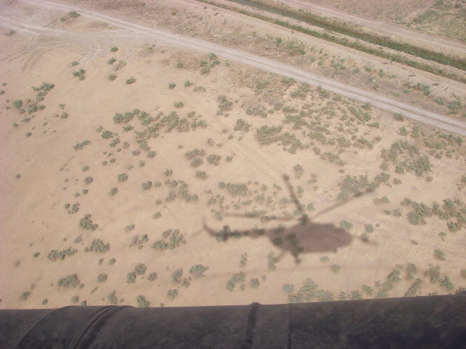 Shadow of the helicopter