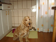 Nacho que ha sido un amigo inigualable