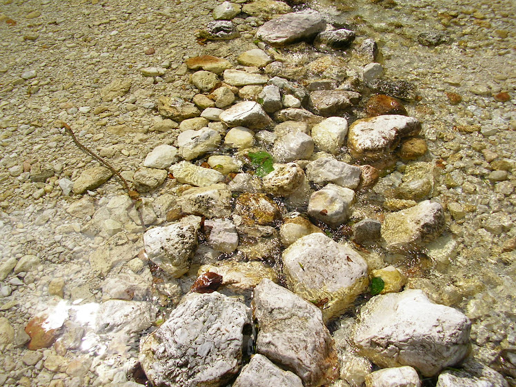 sentiero di pietrE nell'acqua a tarvisio