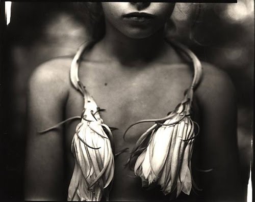 [sally-mann-1.jpg]