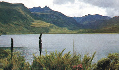 LAGUNA SAGRADA DE CHINGAZA