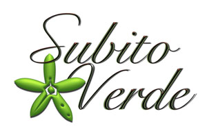 Subito Verde