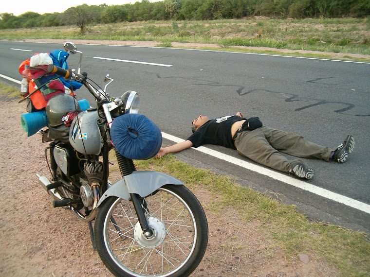 UN PUMERO MUERTO EN LA RUTA