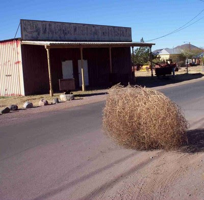 Tumbleweed Apathetic: World reacts to Honda salvation