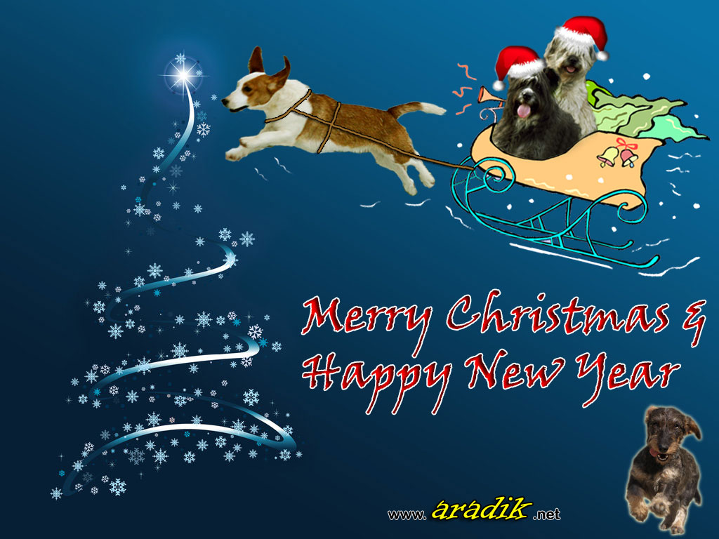 Aradik: Feliz Natal / Merry Christmas