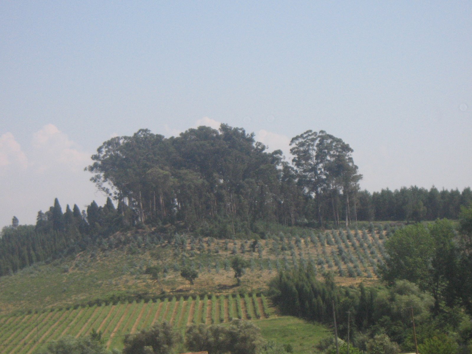 [IMG_6721.JPG]