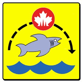 [jump_the_shark.jpg]