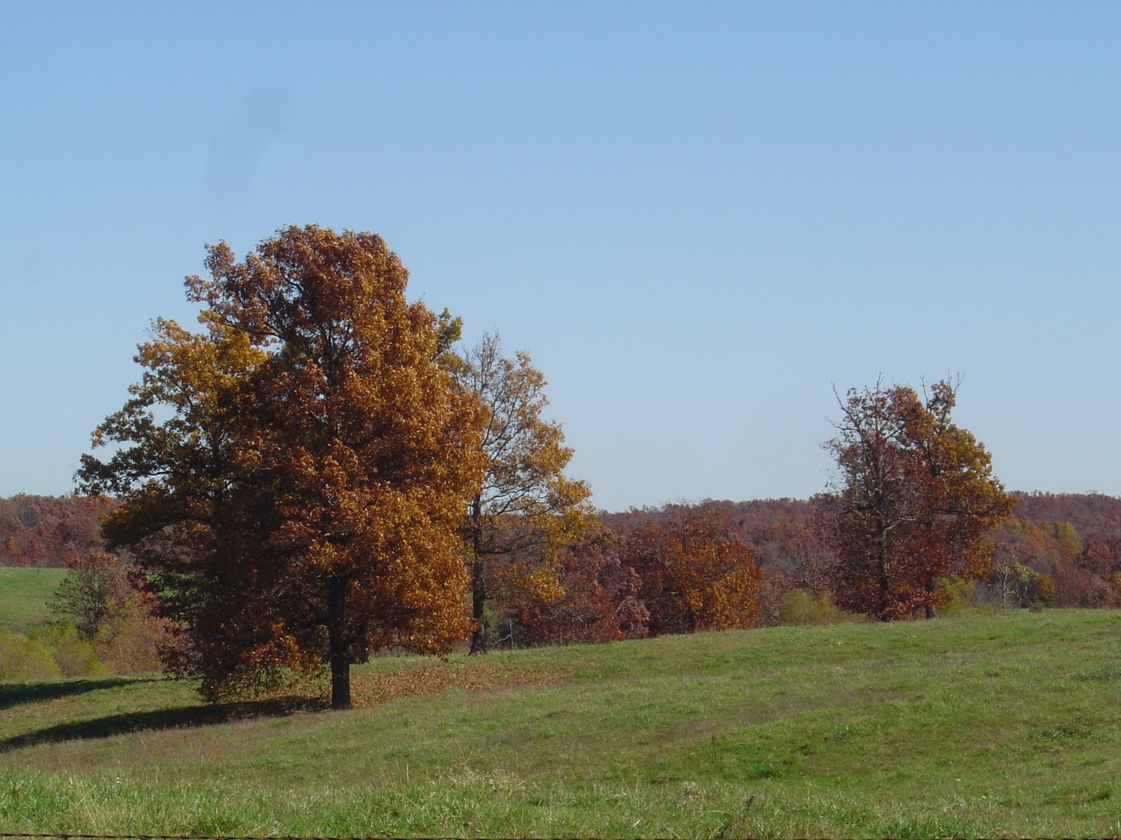 [dsc07285.jpg]