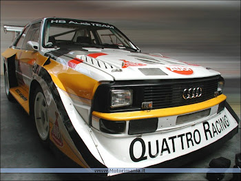 Audi Quattro S1